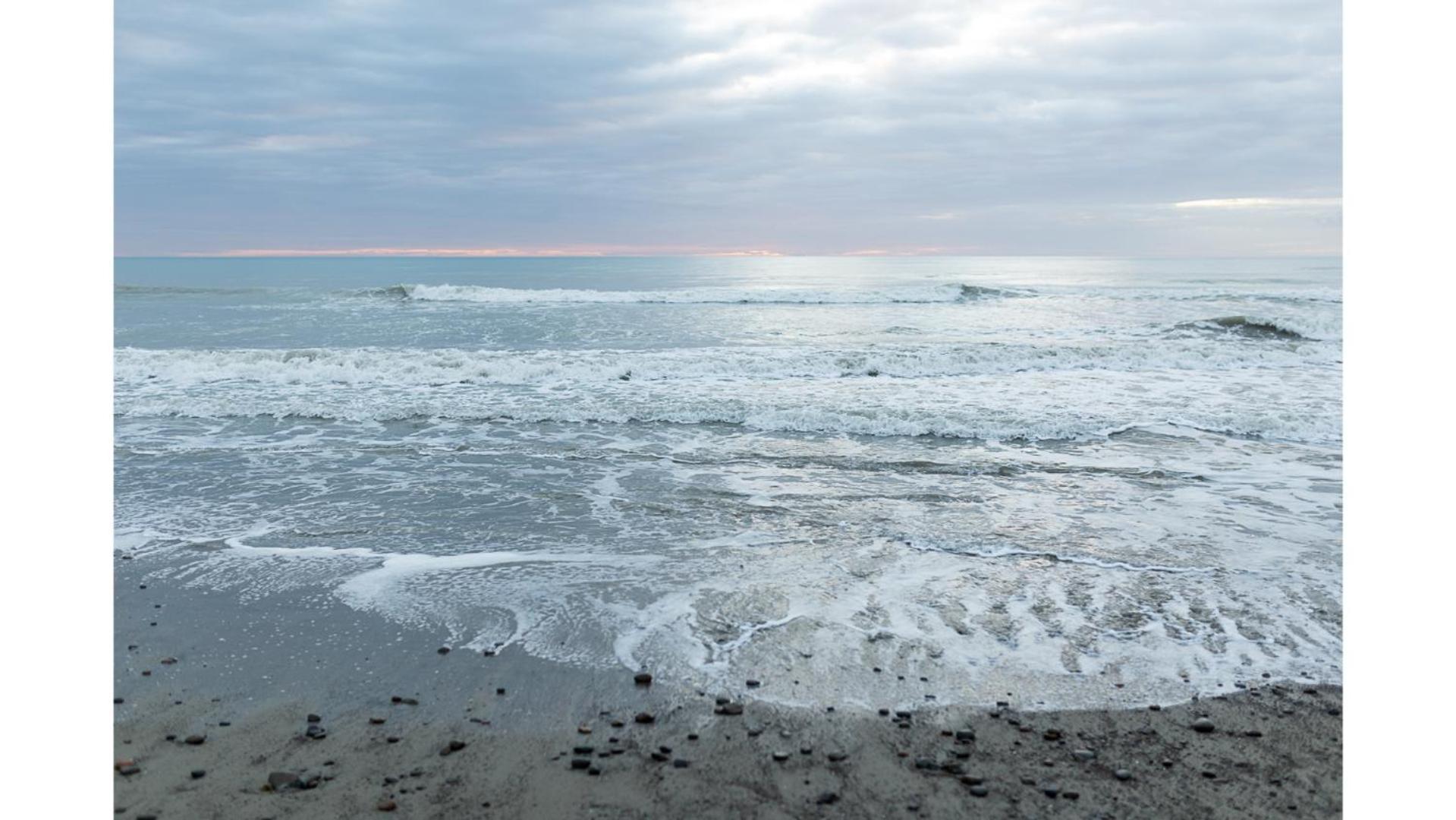 Pacific View By Tiny Away Villa Leithfield Eksteriør bilde